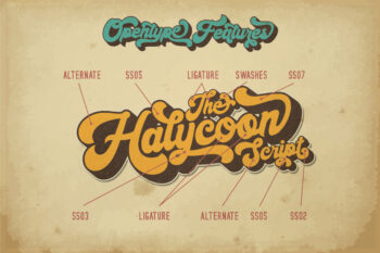 Bold Retro Script Font