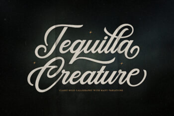 Calligraphy Script Typeface