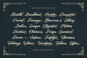 Calligraphy Script Typeface