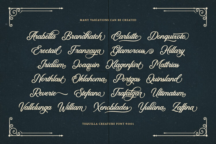 Calligraphy Script Typeface
