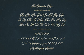 Calligraphy Script Typeface