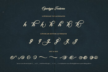 Calligraphy Script Typeface