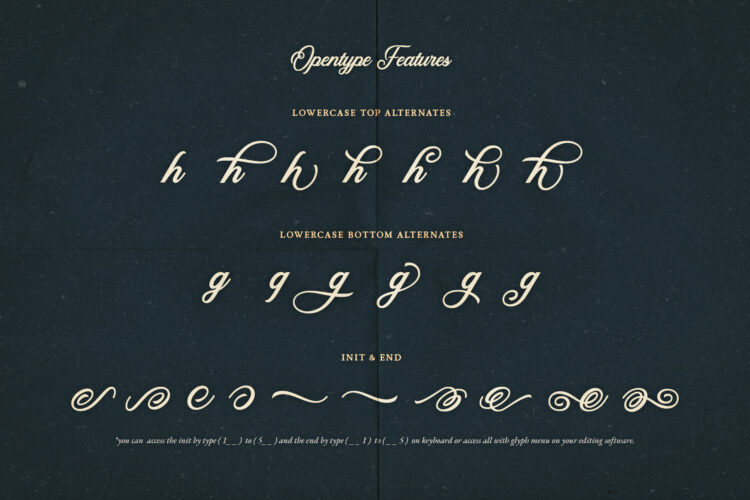 Calligraphy Script Typeface