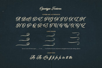Calligraphy Script Typeface