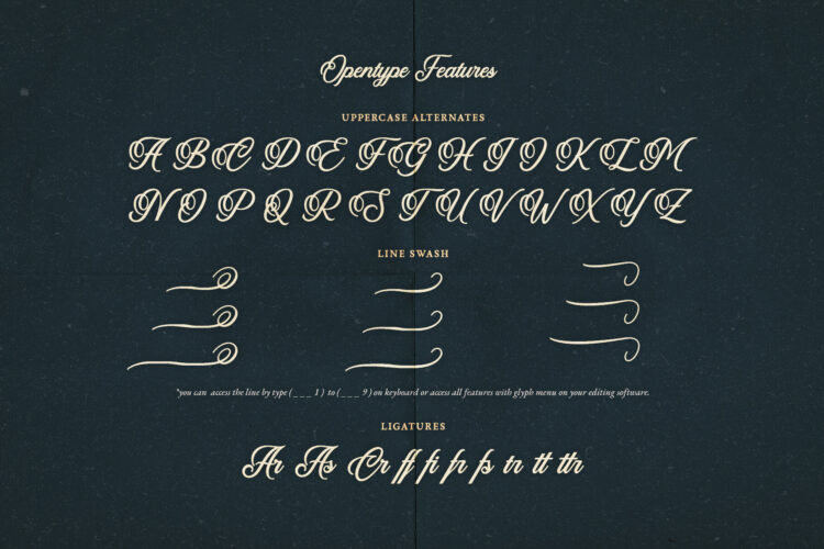Calligraphy Script Typeface