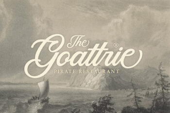 Calligraphy Script Typeface