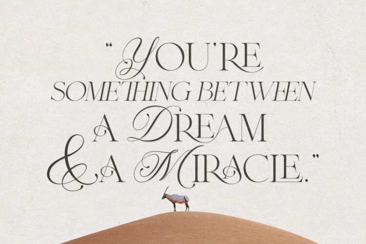 Ligature Serif Typeface
