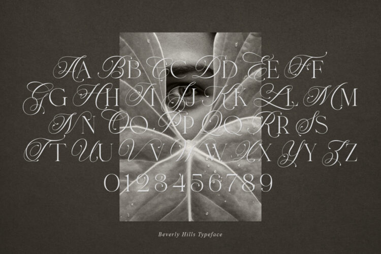 Ligature Serif Typeface