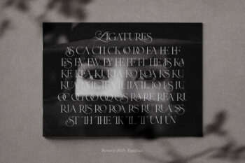 Ligature Serif Typeface