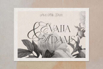 Ligature Serif Typeface