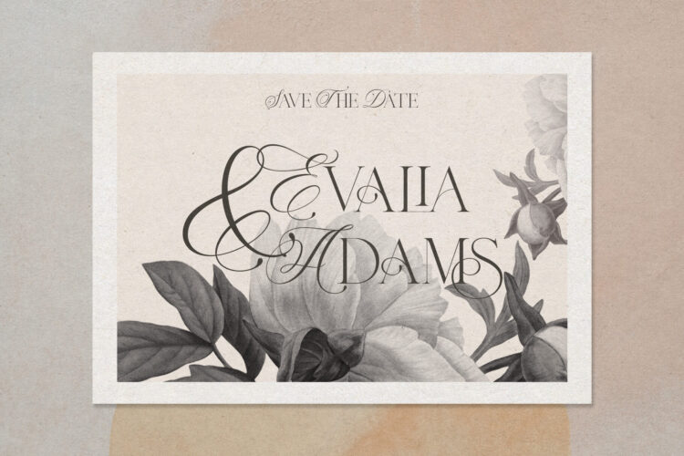 Ligature Serif Typeface