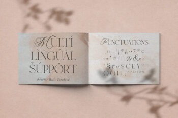 Ligature Serif Typeface