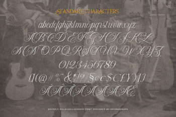 Ligature Serif Typeface