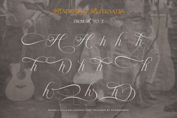 Ligature Serif Typeface