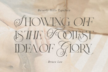 Ligature Serif Typeface