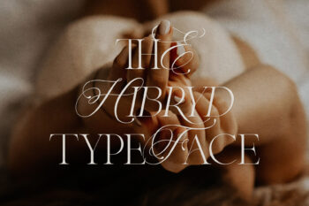 Ligature Serif Typeface