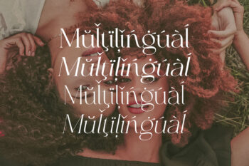 Elegant and Modern Serif Font Family