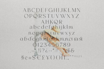 Elegant and Modern Serif Font Family