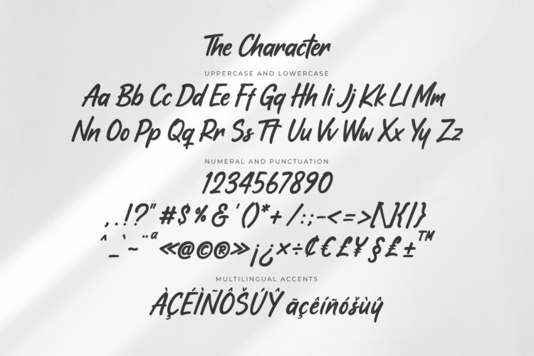 Bold Handwritten Font