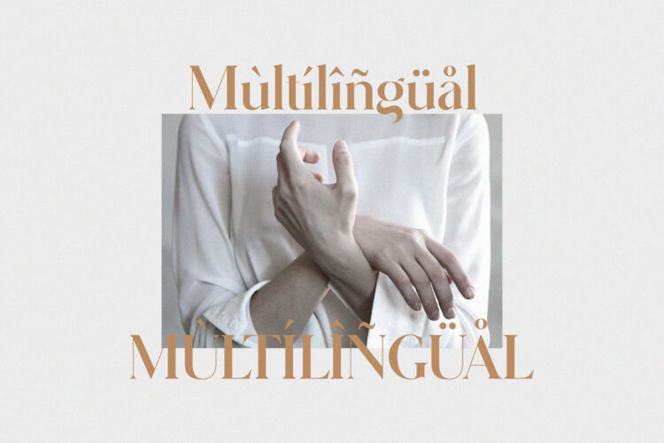 Modern Ligature Serif