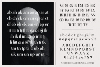 Modern Ligature Serif