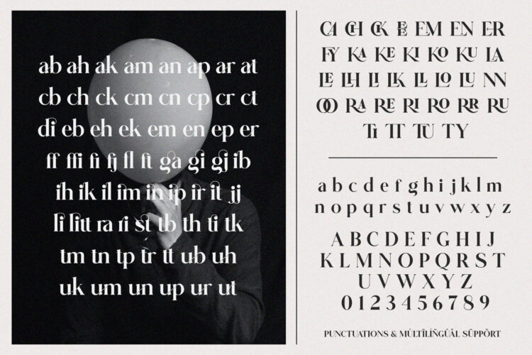 Modern Ligature Serif
