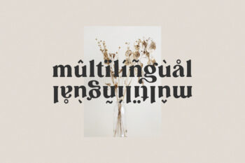 Elegant and Classy Serif Typeface