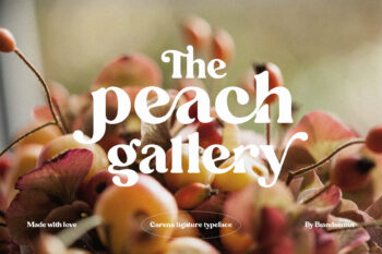 Elegant and Classy Serif Typeface