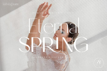 Elegant and Modern Sans Serif Font Family