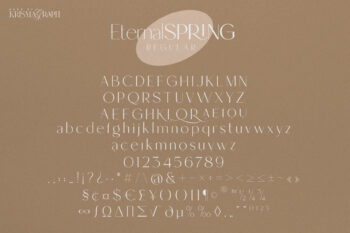 Elegant and Modern Sans Serif Font Family