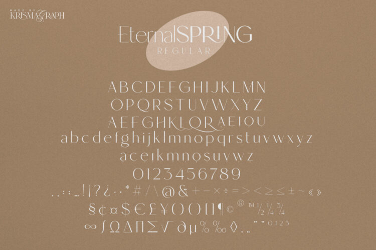 Elegant and Modern Sans Serif Font Family