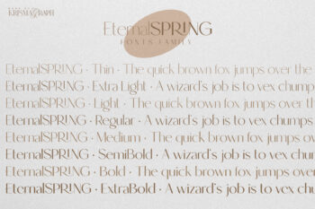Elegant and Modern Sans Serif Font Family