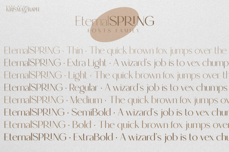 Elegant and Modern Sans Serif Font Family