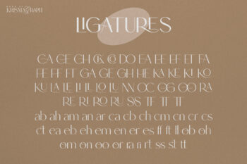 Elegant and Modern Sans Serif Font Family