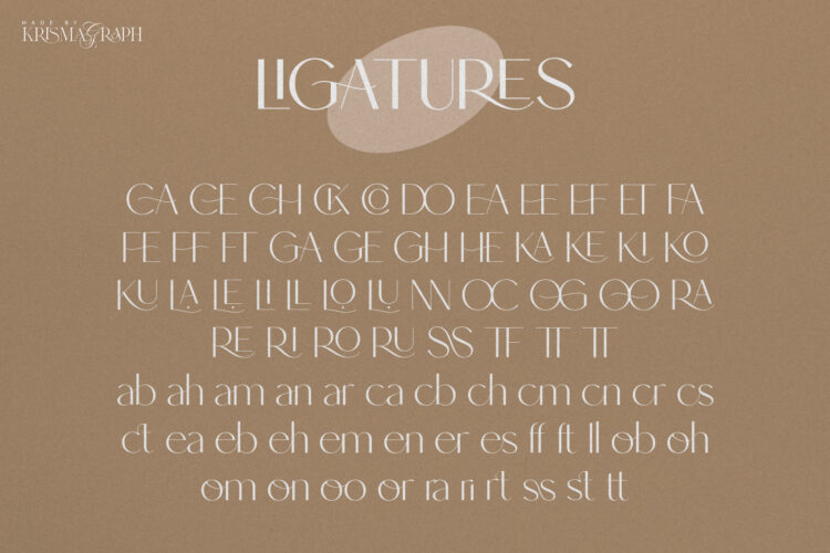 Elegant and Modern Sans Serif Font Family