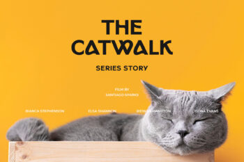 Modern Sans Serif