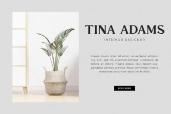 Modern Vintage Serif Font