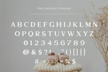 Modern Vintage Serif Font