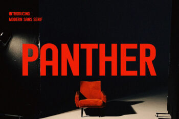 Condensed Modern Sans Serif Font