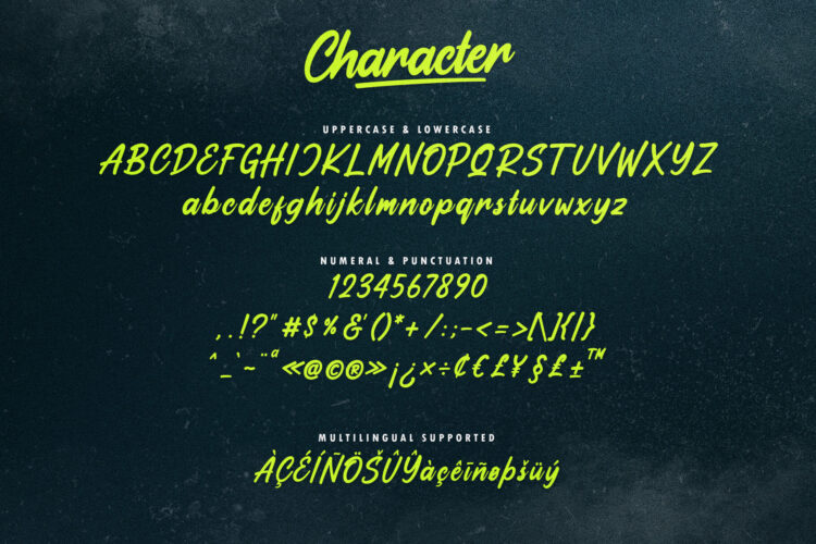 Bold Handwritten Script Font