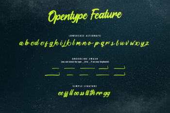 Bold Handwritten Script Font