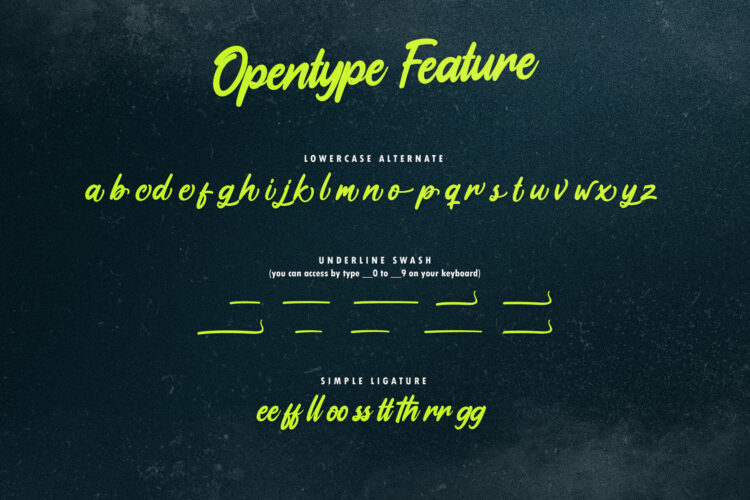 Bold Handwritten Script Font