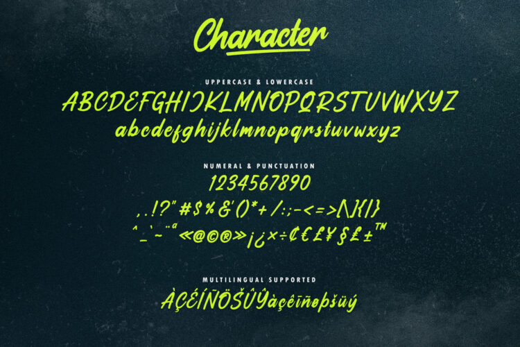 Bold Handwritten Script Font