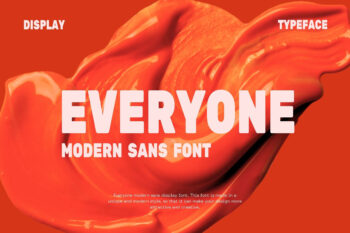 Everyone - Modern Sans Font
