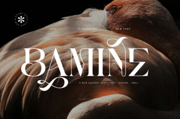 Bamine - Elegant & Stylish Serif