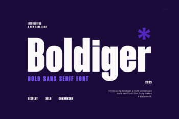 Boldiger - Modern Bold Sans Serif