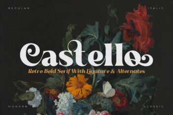 Castello Typeface | Retro Bold Serif