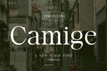 Camige - Classy & Stylish Serif