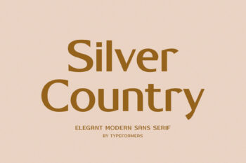 Silver Country - Elegant Modern Sans Serif