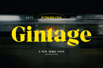 Gintage - Modern Display Serif